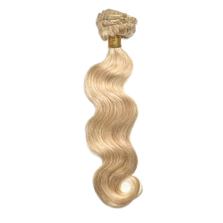 Onyx Remi Body Wave 7 Piece Clip Ins